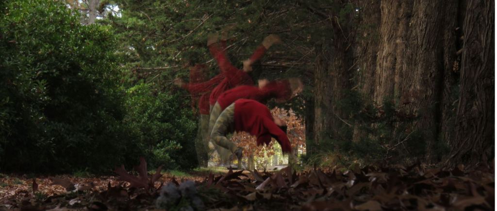 Sanjeta Sridhar receiving special commendation for her photo Red